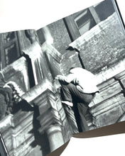 將圖片載入圖庫檢視器 《劍橋夜行者》一書,作者:托馬斯‧梅蘭德