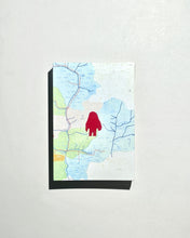 Load image into Gallery viewer, Book “Wildman Fever!” Ruben Lundgren