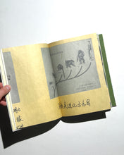 Load image into Gallery viewer, Book “Wildman Fever!” Ruben Lundgren