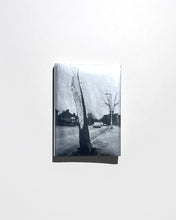 將圖片載入圖庫檢視器 提摩西‧普魯斯著《盧頓的預兆》