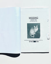 將圖片載入圖庫檢視器 卡列夫‧艾瑞克森所著《迷失/失蹤》一書
