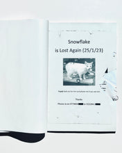 將圖片載入圖庫檢視器 卡列夫‧艾瑞克森所著《迷失/失蹤》一書
