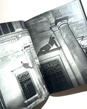 將圖片載入圖庫檢視器 《劍橋夜行者》一書，作者：托馬斯‧梅蘭德
