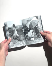 將圖片載入圖庫檢視器 提摩西‧普魯斯著《盧頓的預兆》
