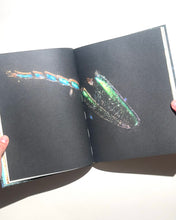 將圖片載入圖庫檢視器 提摩西普魯斯所著《鯨魚的睫毛：五幕劇》
