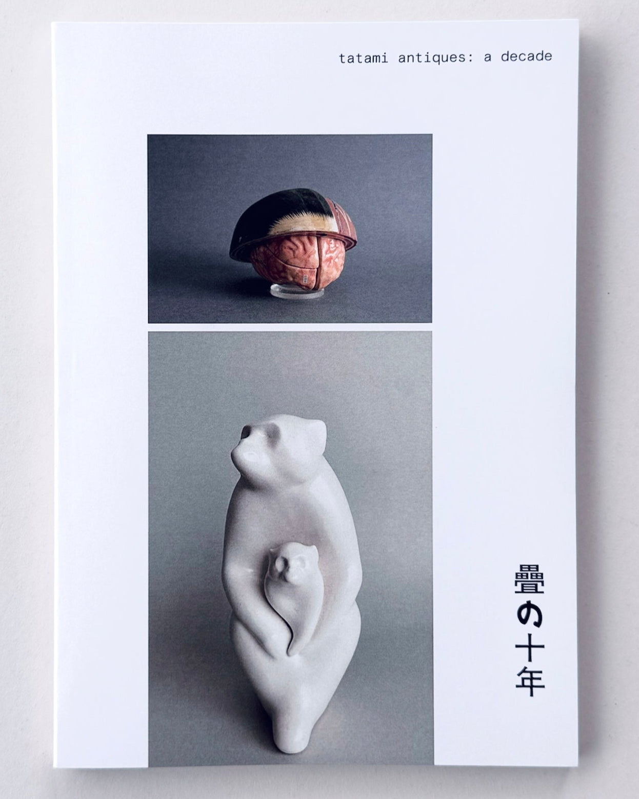 たつ虎　様さ専用 OHBORI SLIDER 2.0 BIRCH/BIRCH 向かい合って力強く咆哮する虎の